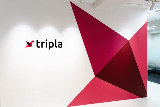 明るく、目を惹くエントランス